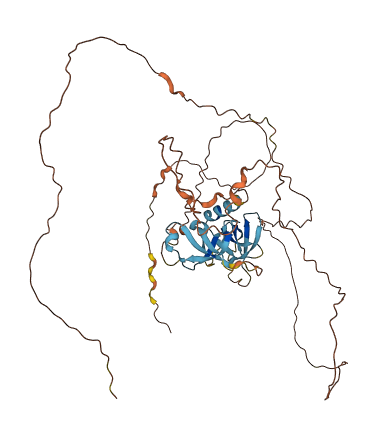 C11orf16 3D structure