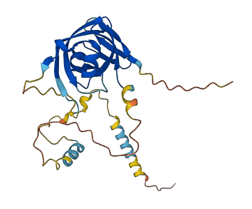 NRIP3 3D structure