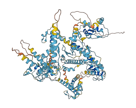 SPINK5 3D structure