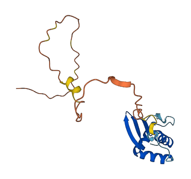 RPS10P5 3D structure