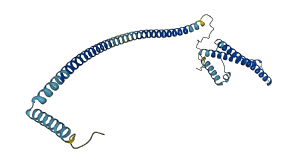 LZTFL1 3D structure