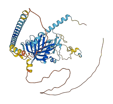 PPAN 3D structure