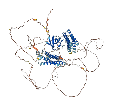 CASS4 3D structure