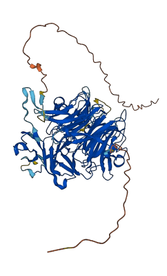 CRTAC1 3D structure