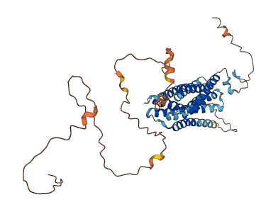 GPRC5C 3D structure