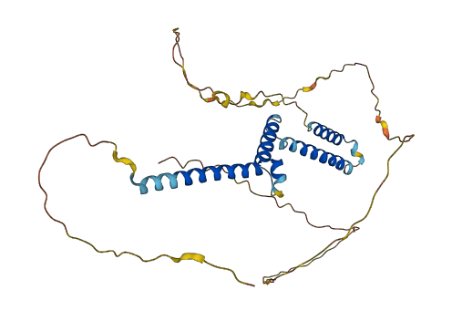 HEYL 3D structure