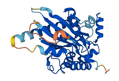 TIGAR 3D structure