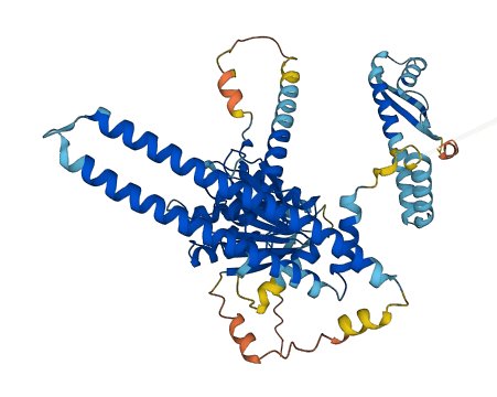 C12orf4 3D structure