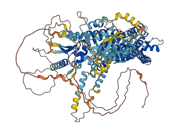 ANO2 3D structure
