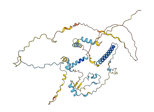 WASH6P 3D structure
