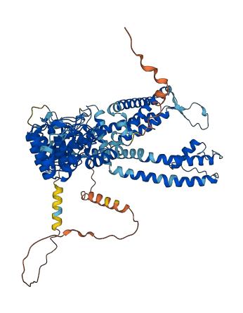 TRPV5 3D structure