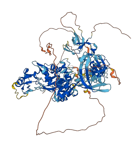 CYLD 3D structure