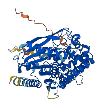 PRSS16 3D structure