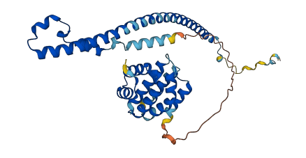 RPRD1B 3D structure