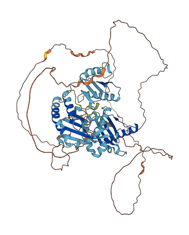 HPS4 3D structure