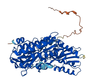 XPNPEP3 3D structure