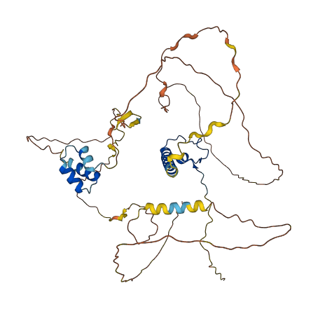 DMRT3 3D structure