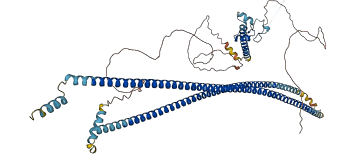 CCDC177 3D structure