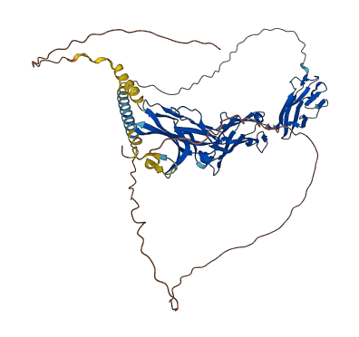 NECTIN3 3D structure