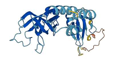 EXOSC3 3D structure