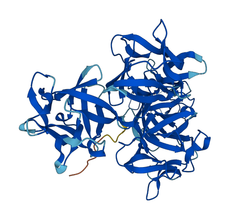 FSCN3 3D structure