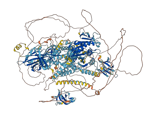 KIF13B 3D structure