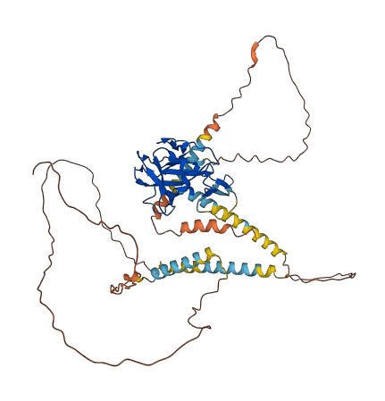 PRDM11 3D structure