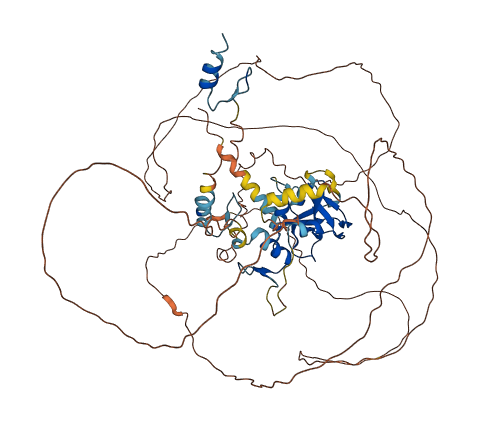 PRDM8 3D structure
