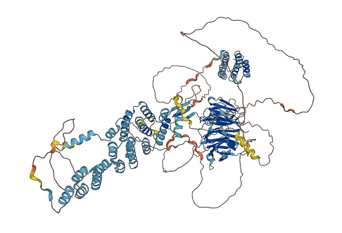 SEC31B 3D structure