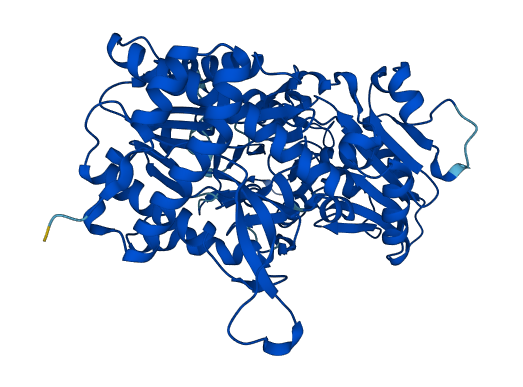 XPNPEP1 3D structure