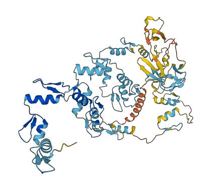 PRDM5 3D structure