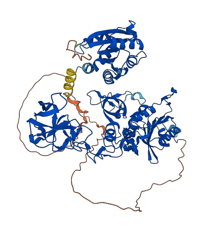 GPHN 3D structure