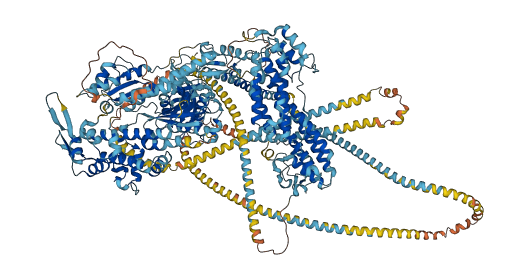 MYO5C 3D structure