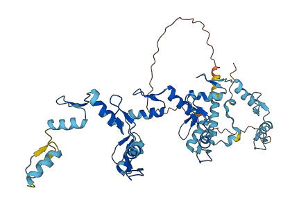 ZNF331 3D structure