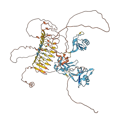 DAZ1 3D structure