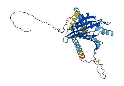 STARD7 3D structure