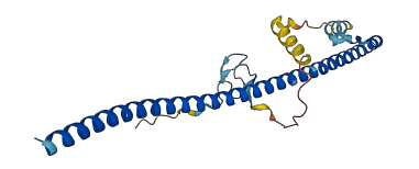 ZC4H2 3D structure