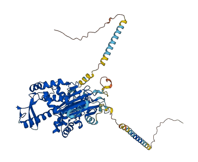 ENTPD7 3D structure