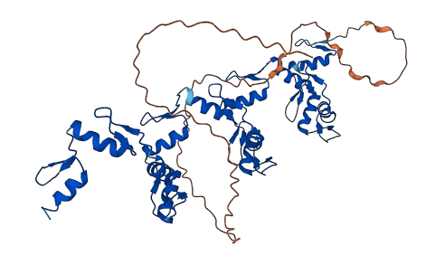 ZNF71 3D structure