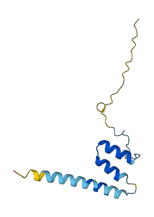 TCIM 3D structure