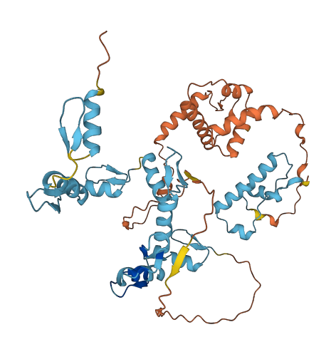 ZNF302 3D structure