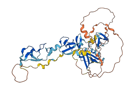 PDLIM7 3D structure
