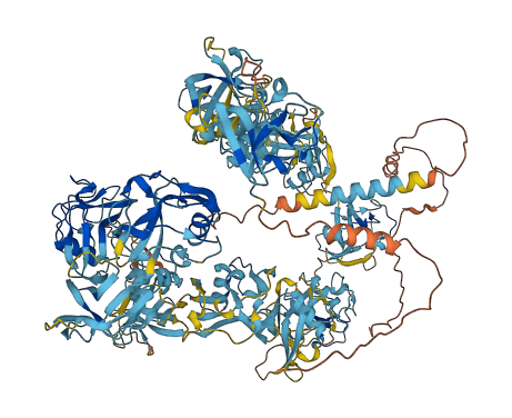 CD163L1 3D structure