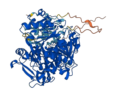 ACSS2 3D structure
