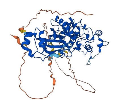DYRK4 3D structure