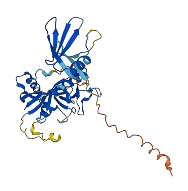 PARP11 3D structure