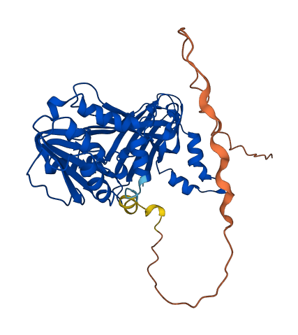 PRMT8 3D structure