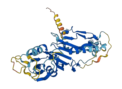 GDF3 3D structure