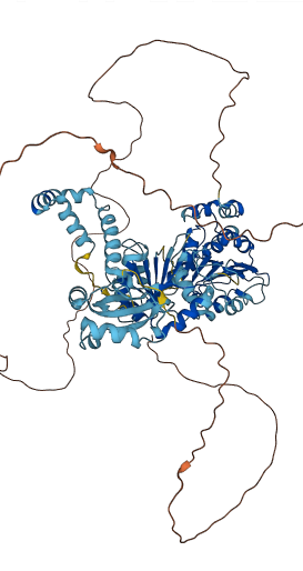 DDX21 3D structure