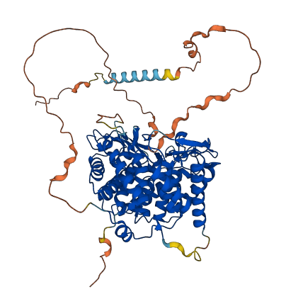 MAN1C1 3D structure